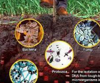 微生物肥系列